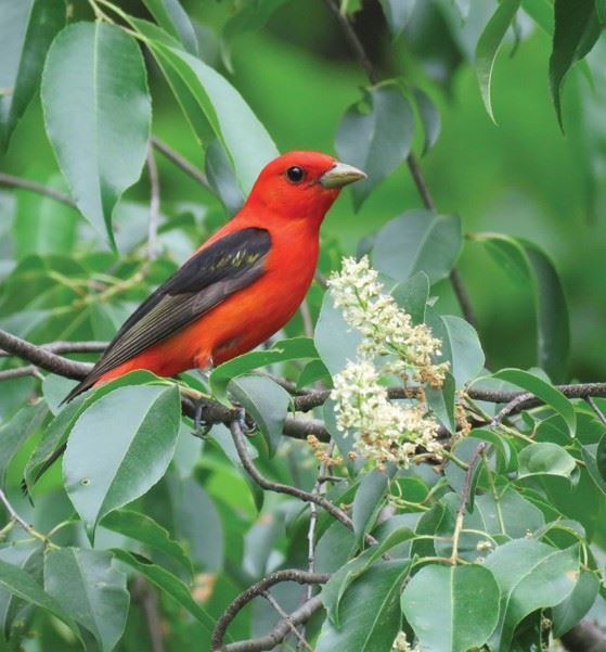 Screenshot 2024-10-16 124020