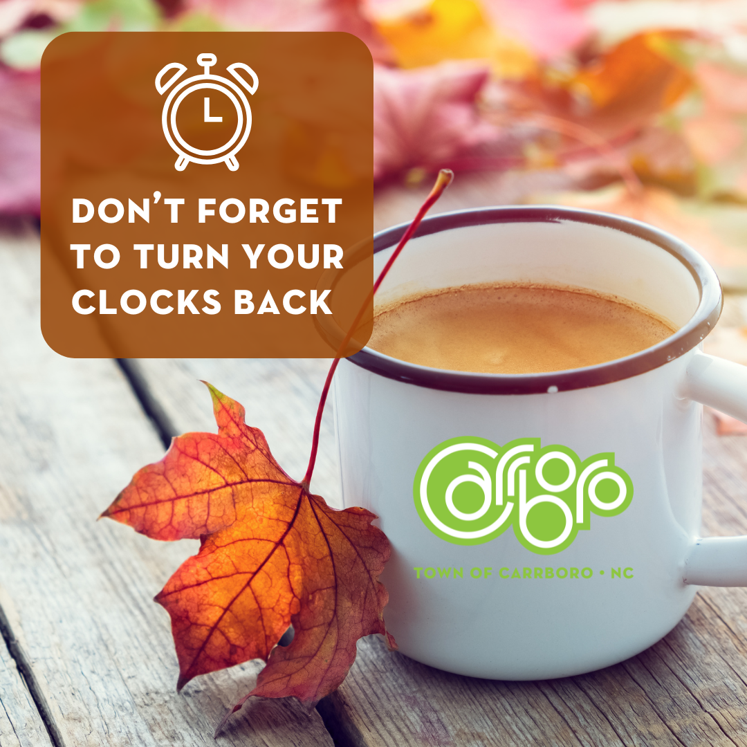 day light savings fall back